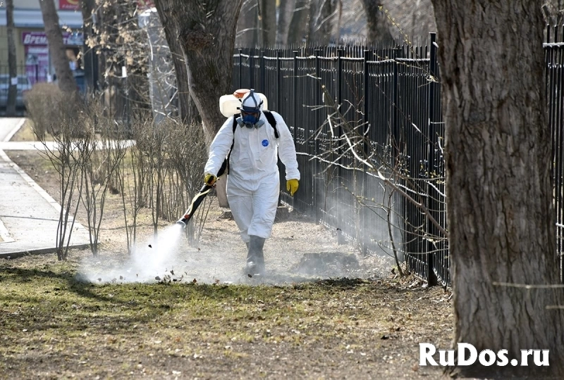 Уничтожение клещей комаров и кротов на участках в Шаховской фото