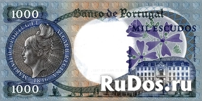 Банкнота Португалии фотка