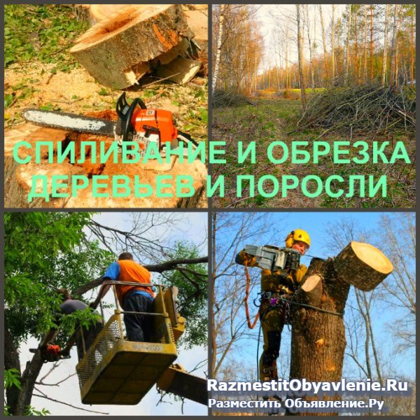 Спиливание Воронеж, спиливание деревьев в Воронеже фото
