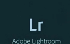 Подписка (электронно) Adobe Lightroom w Classic for enterprise 1 User Level 4 100+, Продление 12 Мес. картинка из объявления