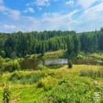 Лесной участок по Ярославскому шоссе картинка из объявления