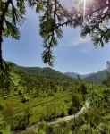 Участок 1.5 га на Алтае в горах у речки, в дали от цивилизации картинка из объявления