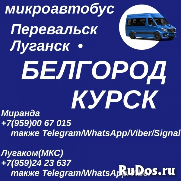 Ежедневно микроавтобус Перевальск - Луганск - Белгород - Курск фото