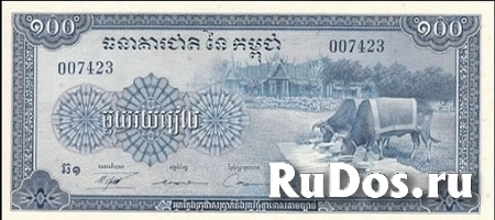 Банкнота Камбоджи фото