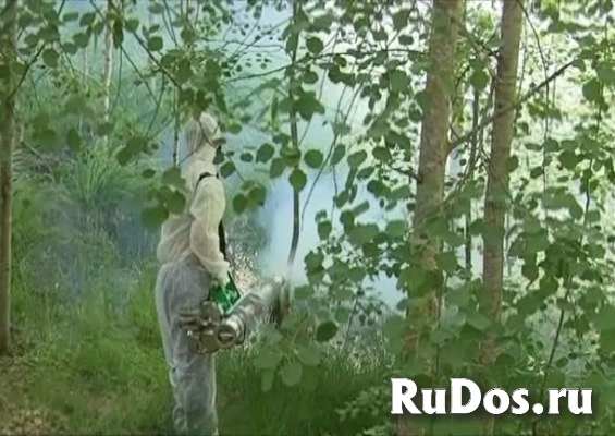 Уничтожение клещей комаров на участке Гагарин фото