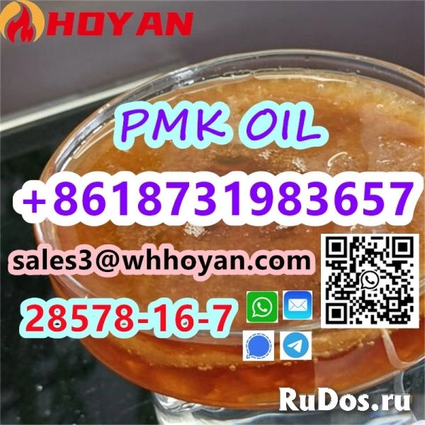 PMK oil CAS 28578-16-7 High Concentration Oil PMK Supplier изображение 4