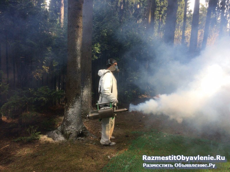 Уничтожение клещей и комаров в Орехово-Зуево фото