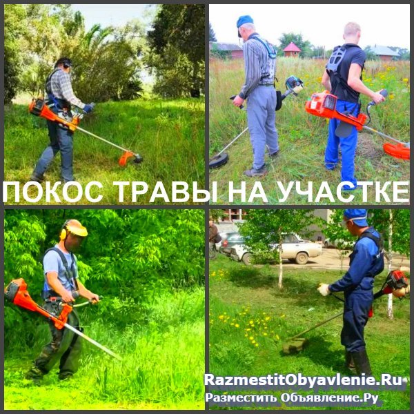 Покос травы Воронеж, косить траву в Воронеже фото