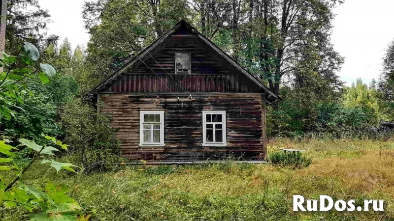 Домик на эстонском хуторе в хвойном лесу изображение 11