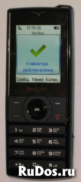 Philips Xenium X500(2 месяца без подзарядки) фото