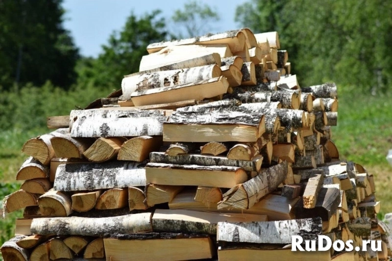 Берёзовые дрова в Талдоме Вербилки Запрудня фото