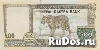 Банкнота Непала фото