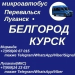 Ежедневно микроавтобус Перевальск - Луганск - Белгород - Курск картинка из объявления