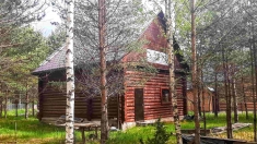 Бревенчатый дом в хвойном лесу у живописного озера картинка из объявления