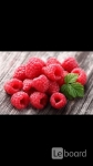 Обмен бартер на ягоды малина клубника смородина клюква вишня на н картинка из объявления